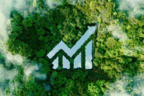 交银保险资管被罚115万元：投资不符合监管要求的信托计划等